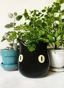 Valfré New Bruno Ceramic Planter 7 Valfré New Bruno Ceramic Planter