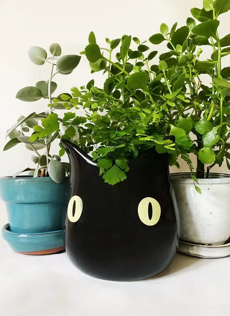 Valfré New Bruno Ceramic Planter 5 Valfré New Bruno Ceramic Planter